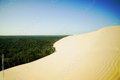 Fototapeta Naklejka Na Ścianę i Meble -  Dune du Pilat en France avec forêt 
