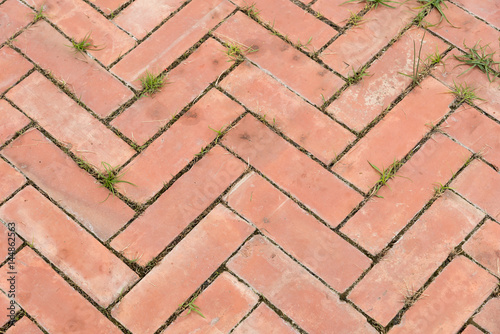 Pavement in the park.