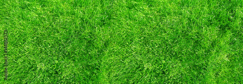 Tableau sur toile Lawn