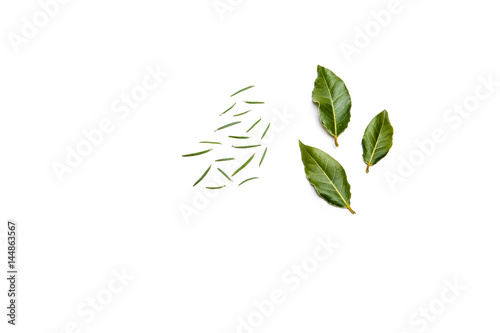 Rosemary and bay tree on white background © danieletrapletti