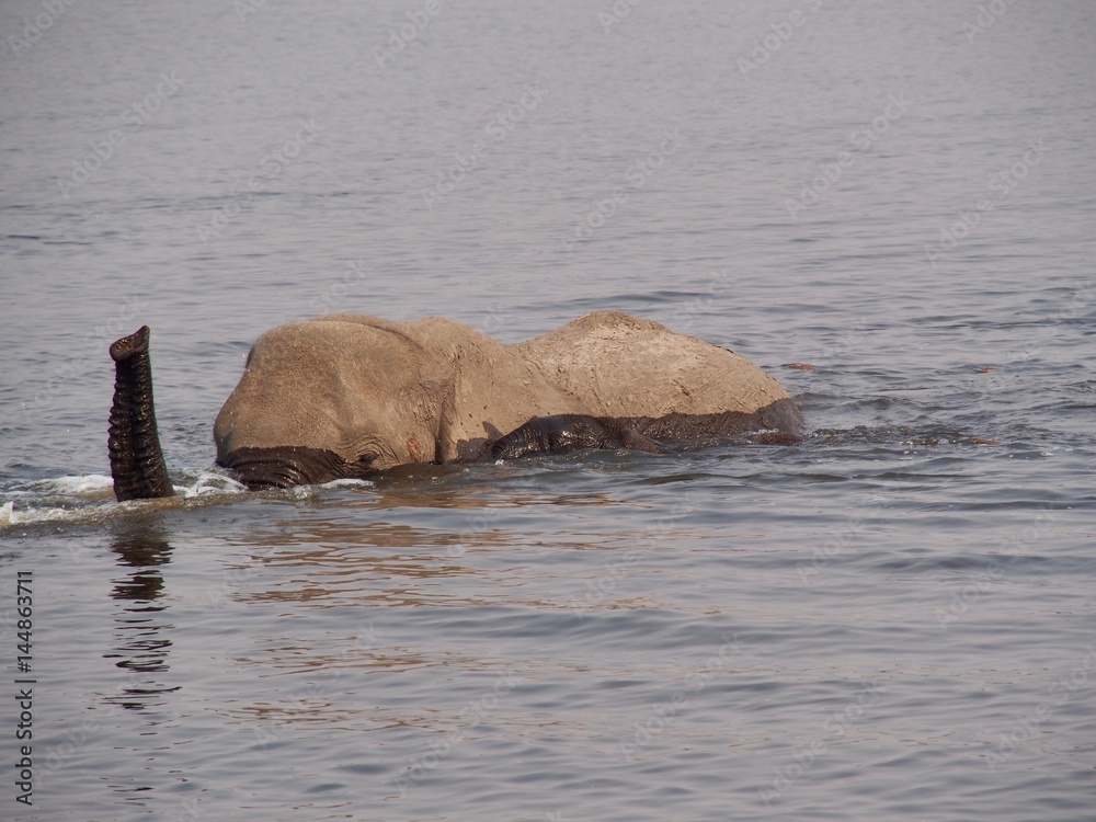 Obraz premium Botswana