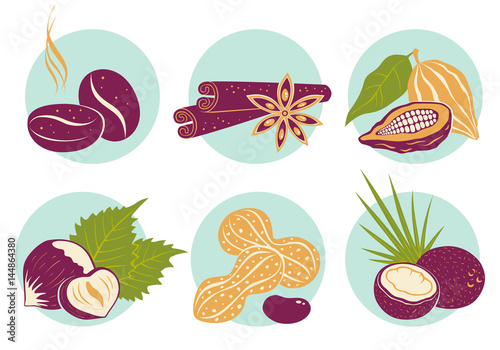Vintage set nuts icons