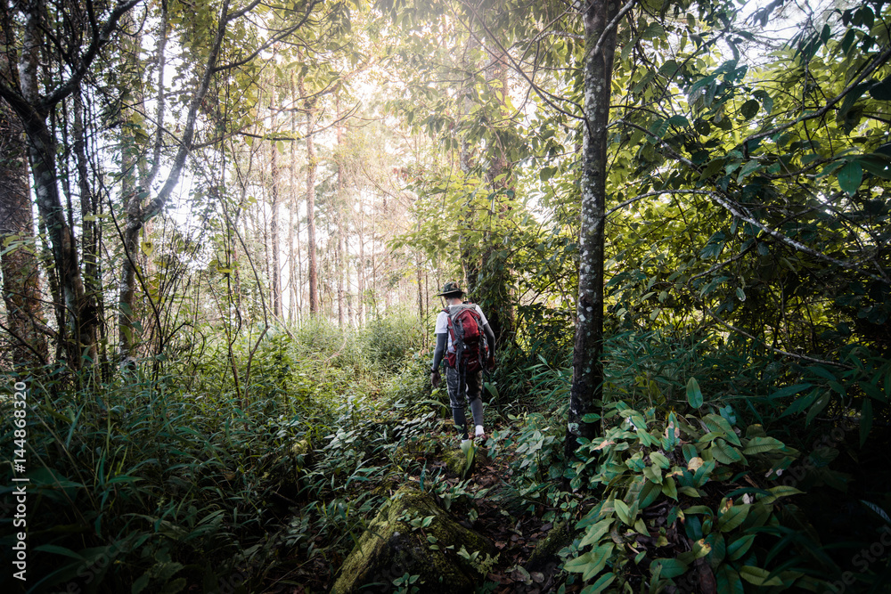 A man trekking on forest trail A man trekking on forest trail