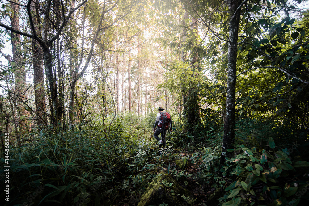 A man trekking on forest trail