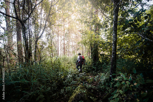 A man trekking on forest trail © pom669