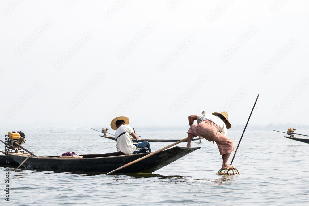 Naklejka premium Fishermen cash a fish with bamboo fish trap in Inle Lake, Inle, Shan State, Myanmar