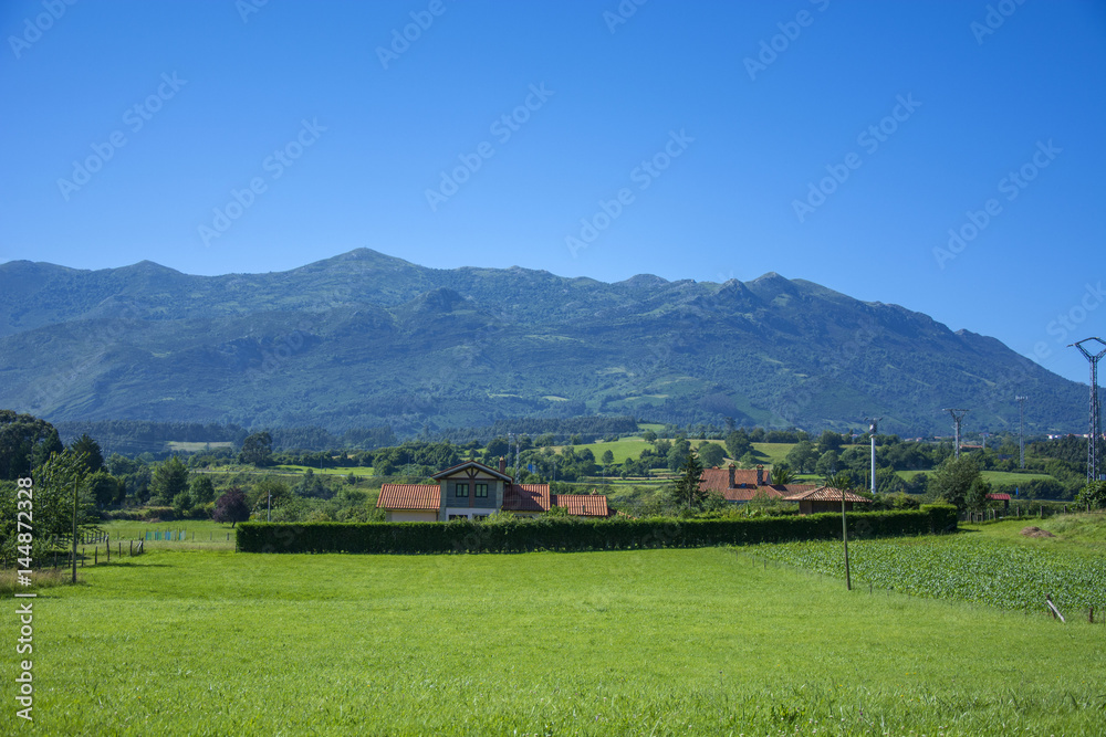 Asturian landscape 64