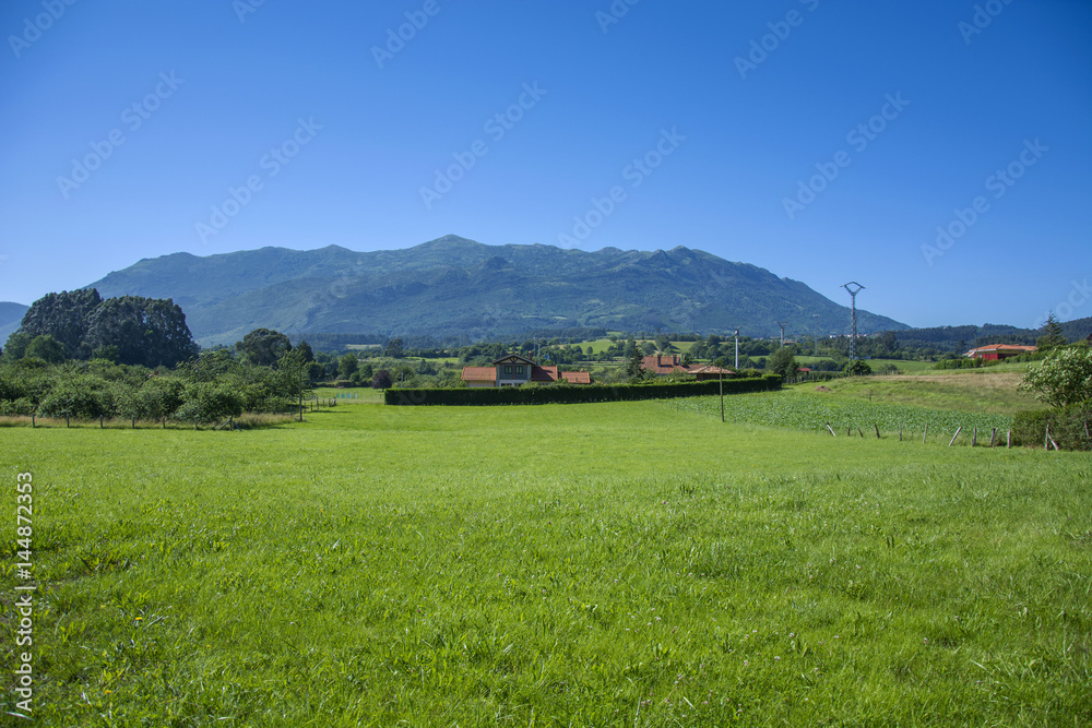 Asturian landscape 66