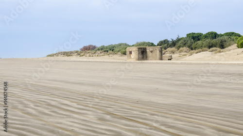 National Park of Doñana in Huelva