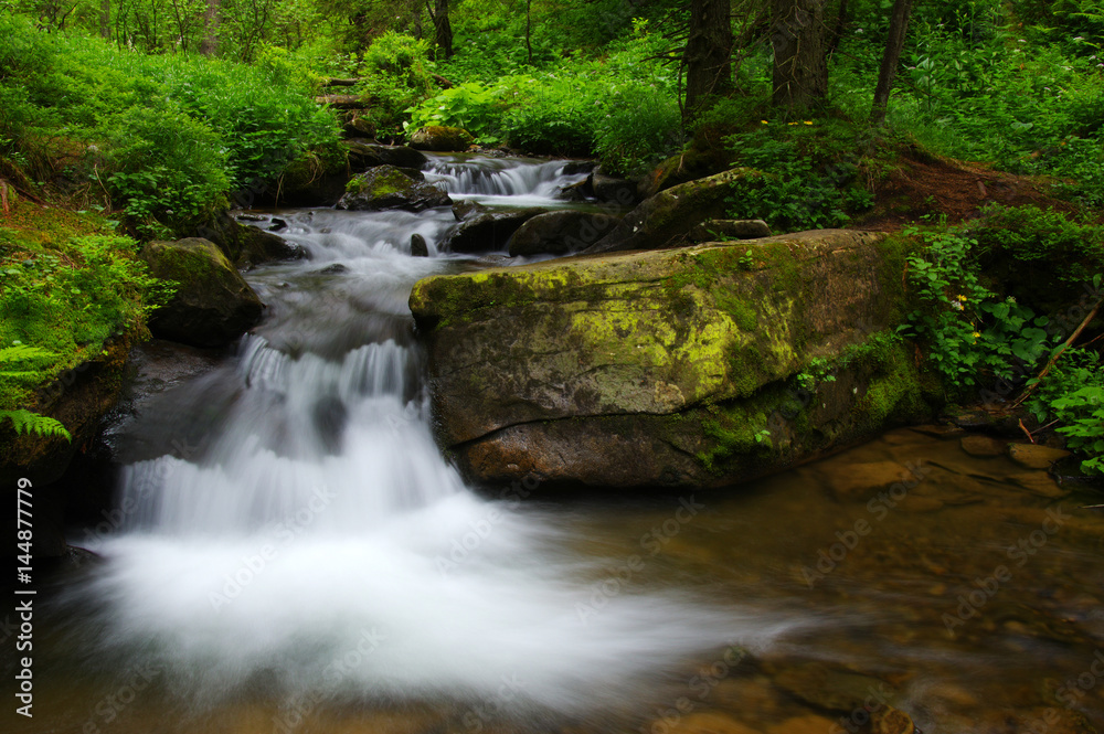 Creek in the woods Creek in the woods