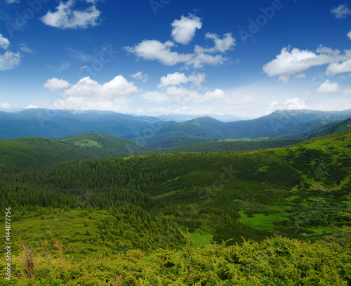 Mountain landscape in summer