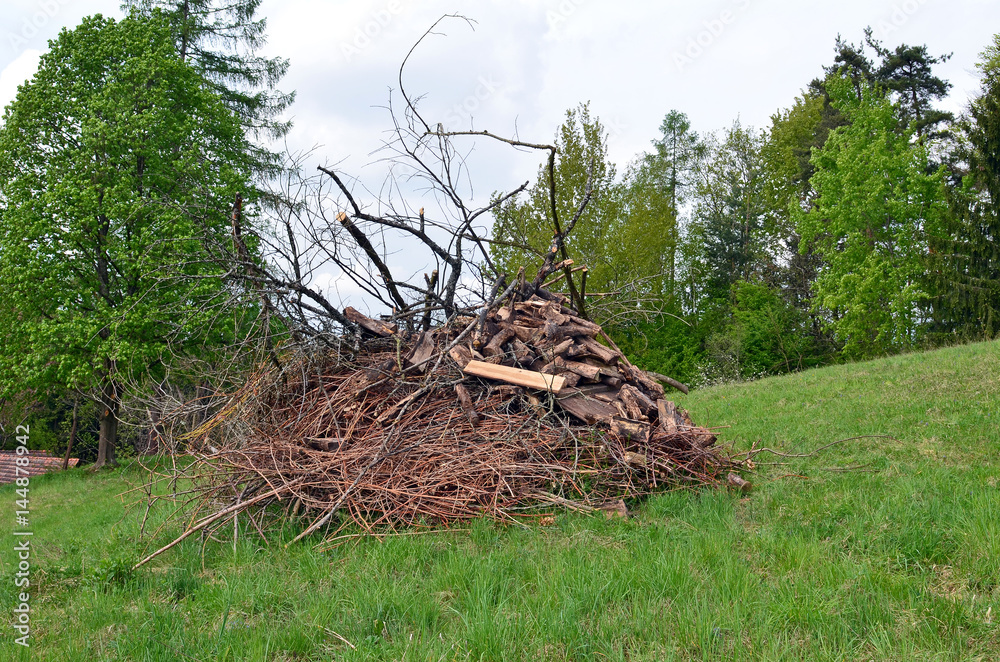 Baumschnitt, Holzhaufen Baumschnitt, Holzhaufen