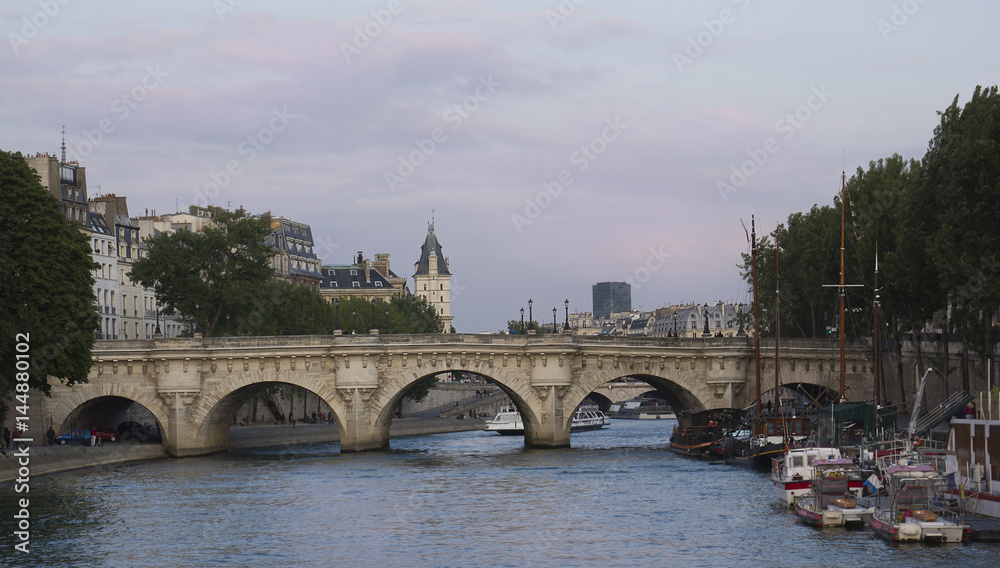 Fototapeta premium Landscape in Paris. Bridge over the Seine.
