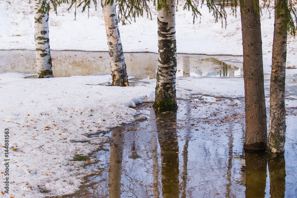 Spring landscape. The trees stand in the water from melting snow and reflected in a puddle.. Spring landscape. The trees stand in the water from melting snow and reflected in a puddle..