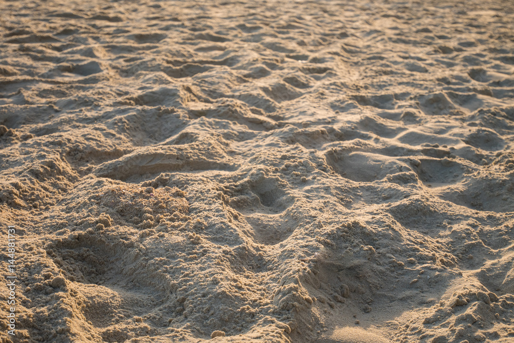 Close up sand crest on the beach at sunset with blurred background Close up sand crest on the beach at sunset with blurred background
