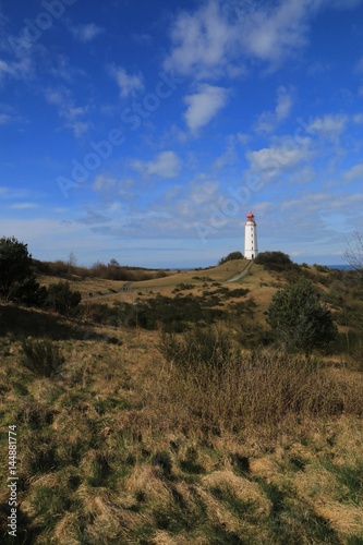 sanfte Hügel am Dornbusch