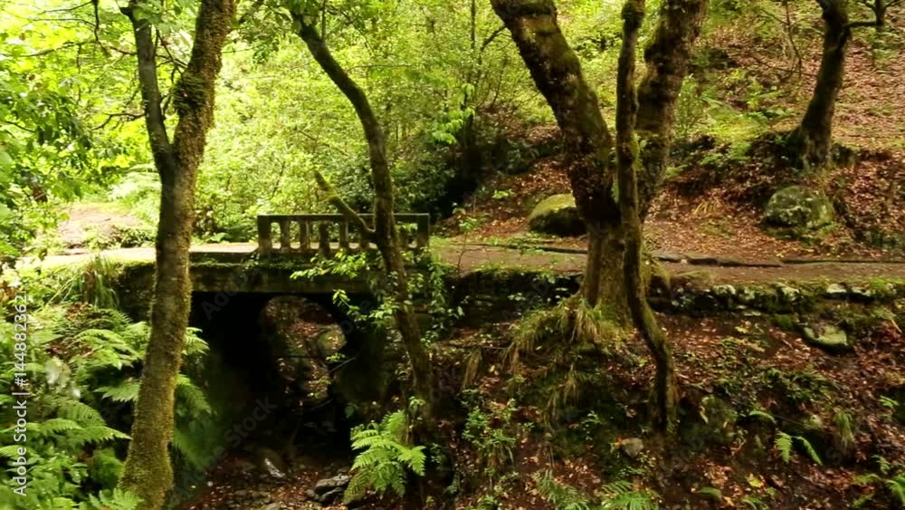 Levada hiking trail on Madeira island Levada hiking trail on Madeira island