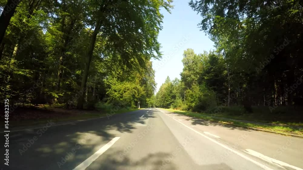 P.O.V. Video, driving in a forest in Germany P.O.V. Video, driving in a forest in Germany