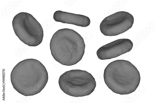 Highly detailed realistic red blood cells at different angles isolated on white background, 3D illustration. Black-and-white image