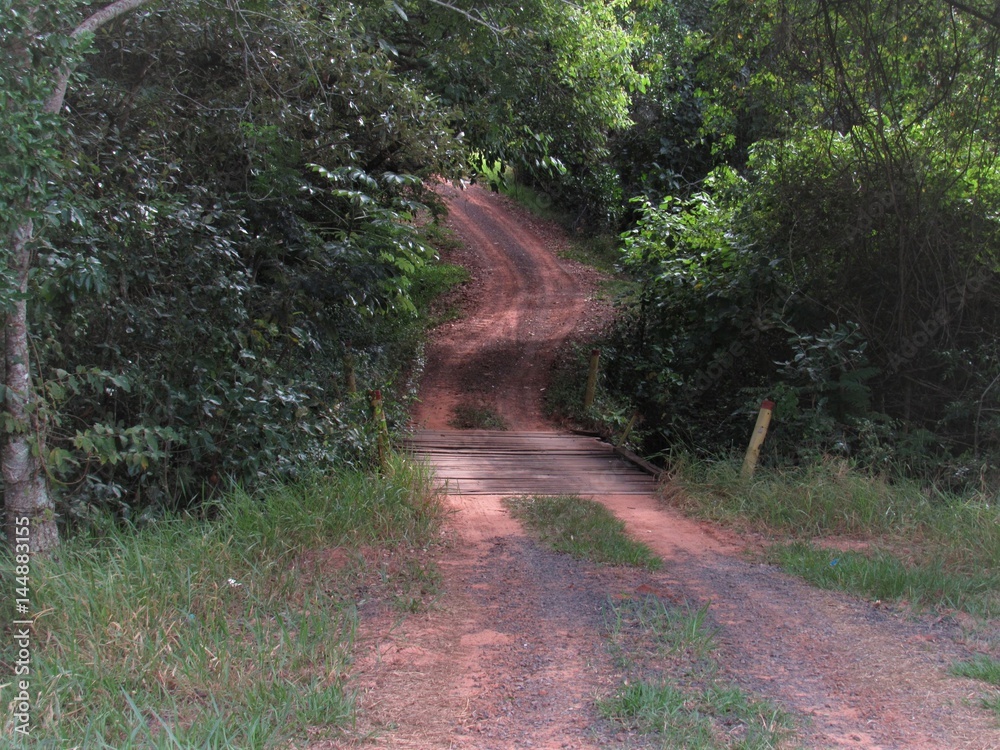 Obraz premium A estrada.