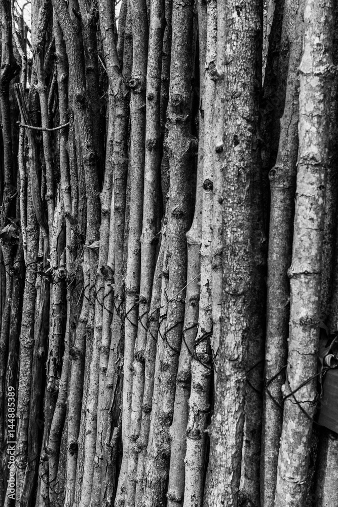 Logs tied together Logs tied together
