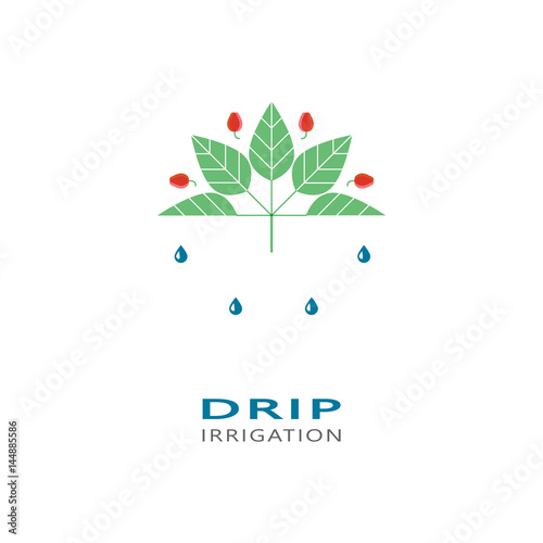 Drip irrigation system logo design template. Vector illustration.