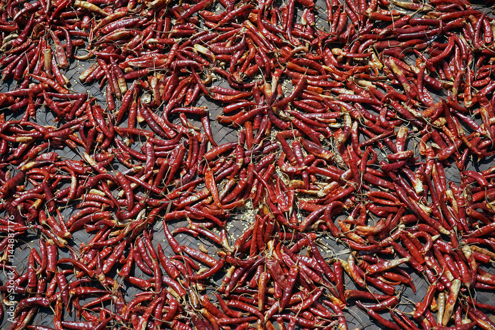 Fototapeta premium Red pepper