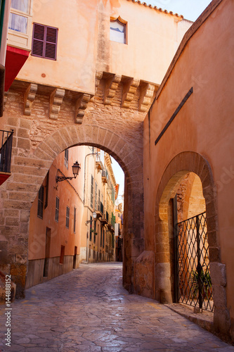 Fototapeta Naklejka Na Ścianę i Meble -  View on Palma de Mallorca