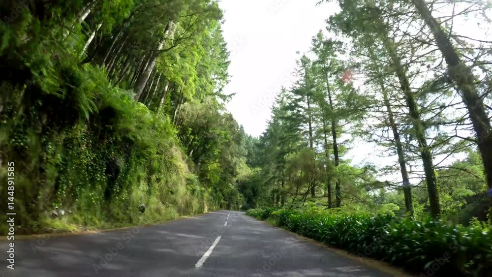 Drivers View – Driving in Madeira (Portugal) on a country road in a forest (P.O.V.) Drivers View – Driving in Madeira (Portugal) on a country road in a forest (P.O.V.)