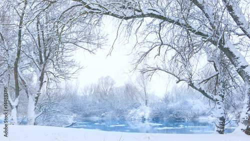 trees on the bank of the river in snowfall