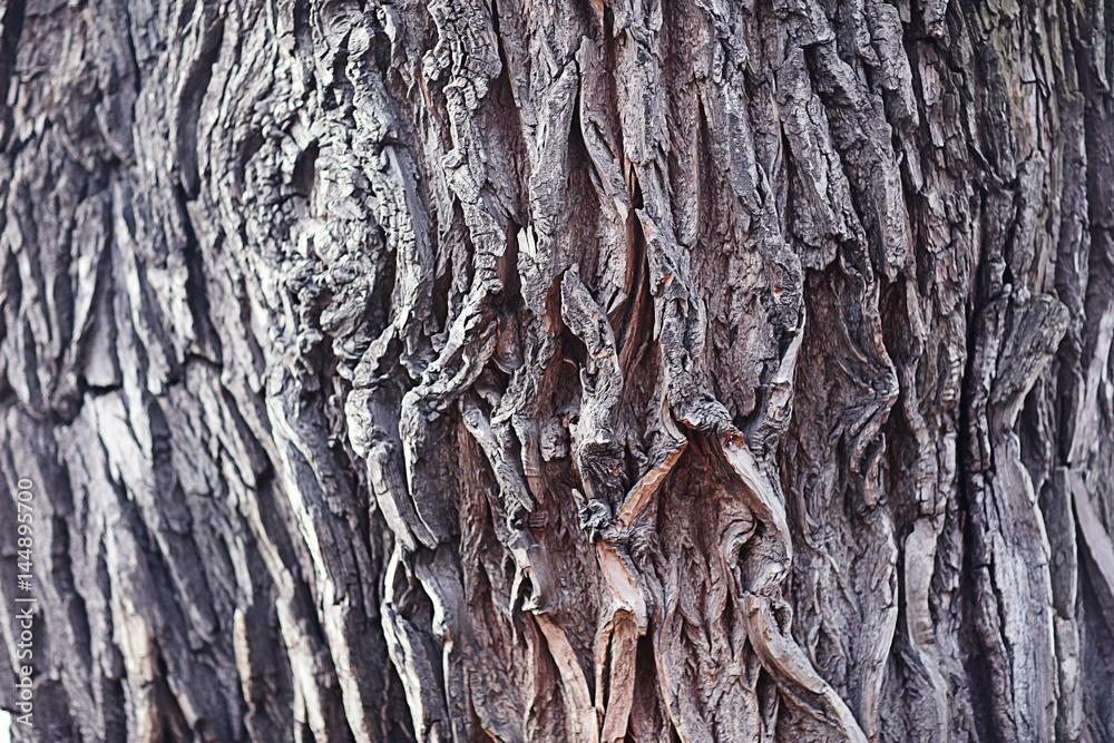 background texture of wooden planks logs bark background texture of wooden planks logs bark