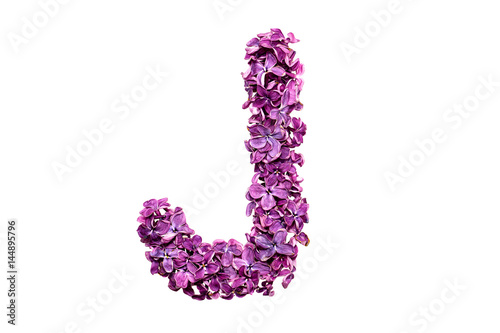 Flower letter lilac or purple color isolated on white background . Letter J