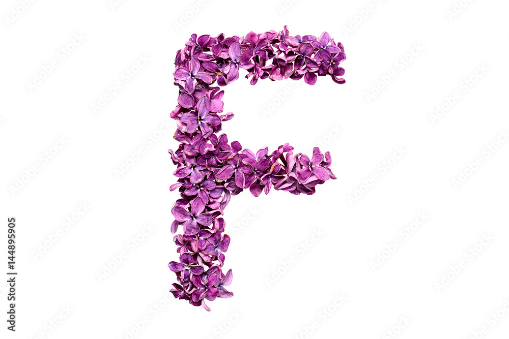 Flower letter lilac or purple color isolated on white background . Letter F
