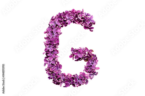 Flower letter lilac or purple color isolated on white background . Letter G