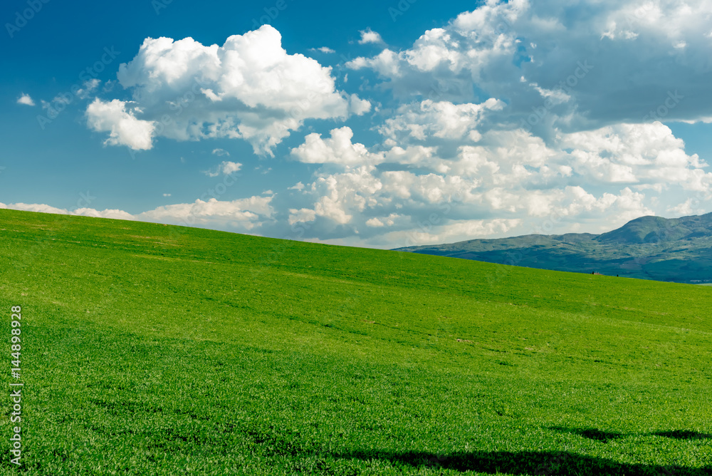 Panorama of green val d'orcia hills in tuscany italy in spring, land of red wine and cypresses