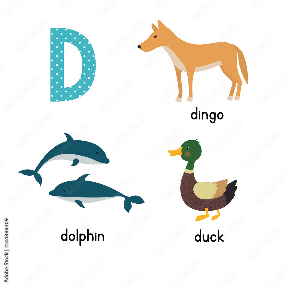 Cute zoo alphabet in  letter. Funny cartoon animals: Dolphin, duck,  dingo . Stock Vector | Adobe Stock