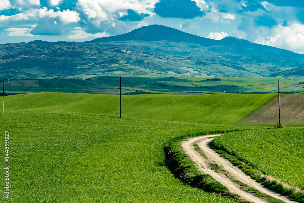 Fototapeta premium stunning landscape of green hills of the Val d'Orcia in Tuscany, the land of wine brunello of the city of Siena and Montalcino