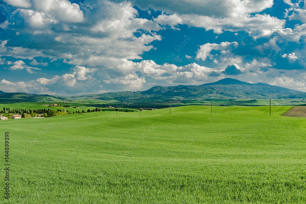 stunning landscape of green hills of the Val d'Orcia in Tuscany, the land of wine brunello of the city of Siena and Montalcino