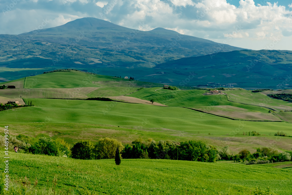 stunning landscape of green hills of the Val d'Orcia in Tuscany, the land of wine brunello of the city of Siena and Montalcino
