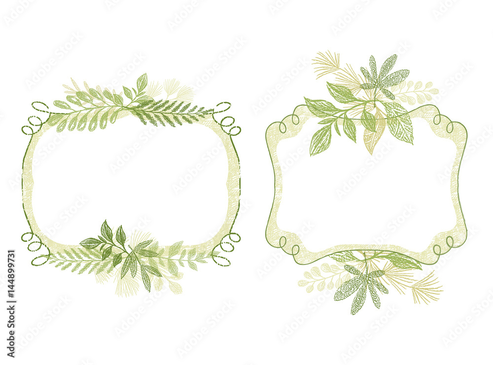 Vector frame set with green plant leaves ornament. Hand drawn branch border composition, card design