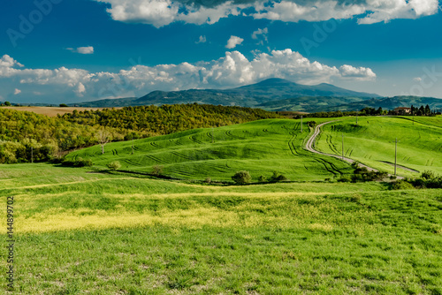 stunning landscape of green hills of the Val d Orcia in Tuscany  the land of wine brunello of the city of Siena and Montalcino