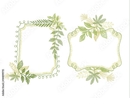Hand drawn vector, doodle frame set with green plant leaves ornament. Branch border composition, card design
