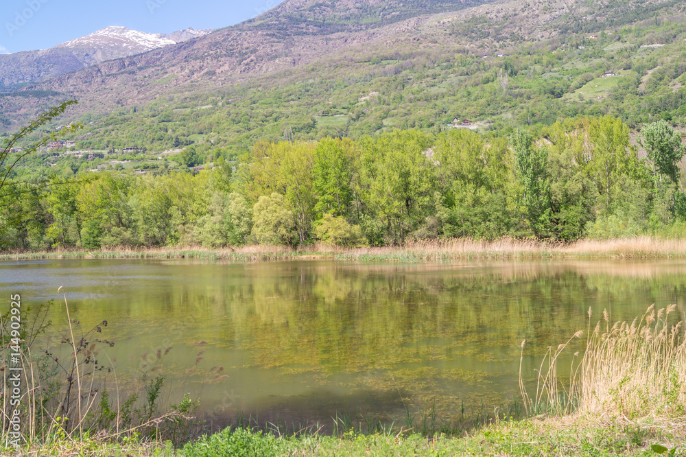 Lake in forest trees and mountain landscape Lake in forest trees and mountain landscape