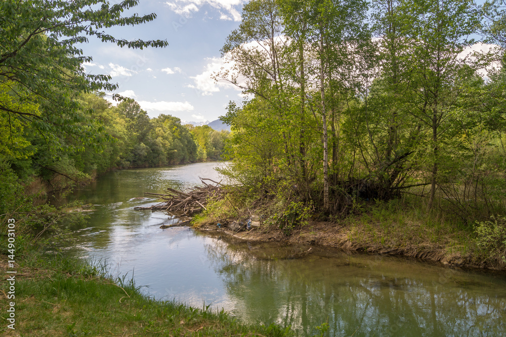 Lake in forest trees and mountain landscape
