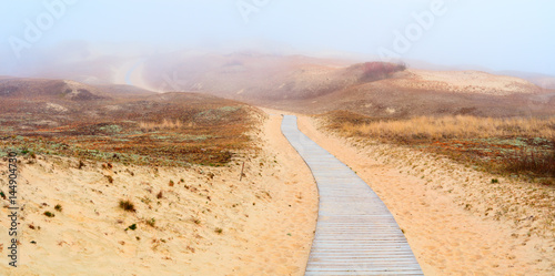 Wooden path into the Grey Dunes. Curonian Spit, Lithuania.