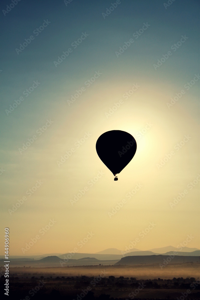 Fototapeta premium hot air balloon