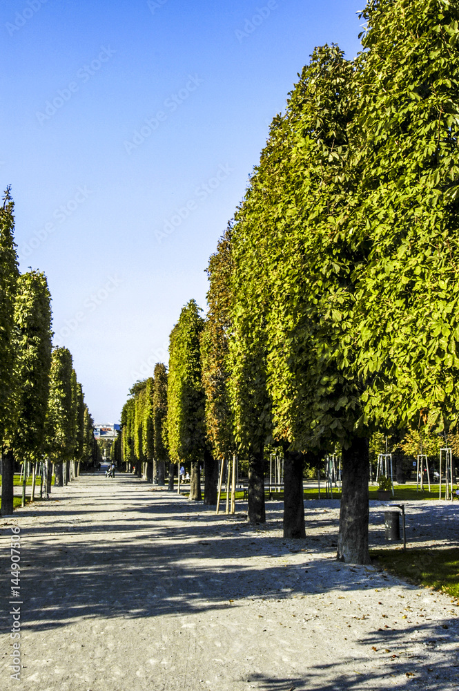 Augarten, Park, Allee, Österreich, Wien, 2. Bezirk Augarten, Park, Allee, Österreich, Wien, 2. Bezirk