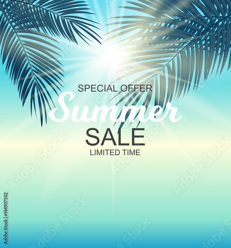 Summer Sale Background Vector Illustration