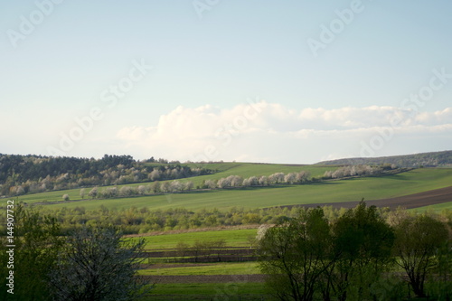 rural landscape, meadow, forests and blue sky