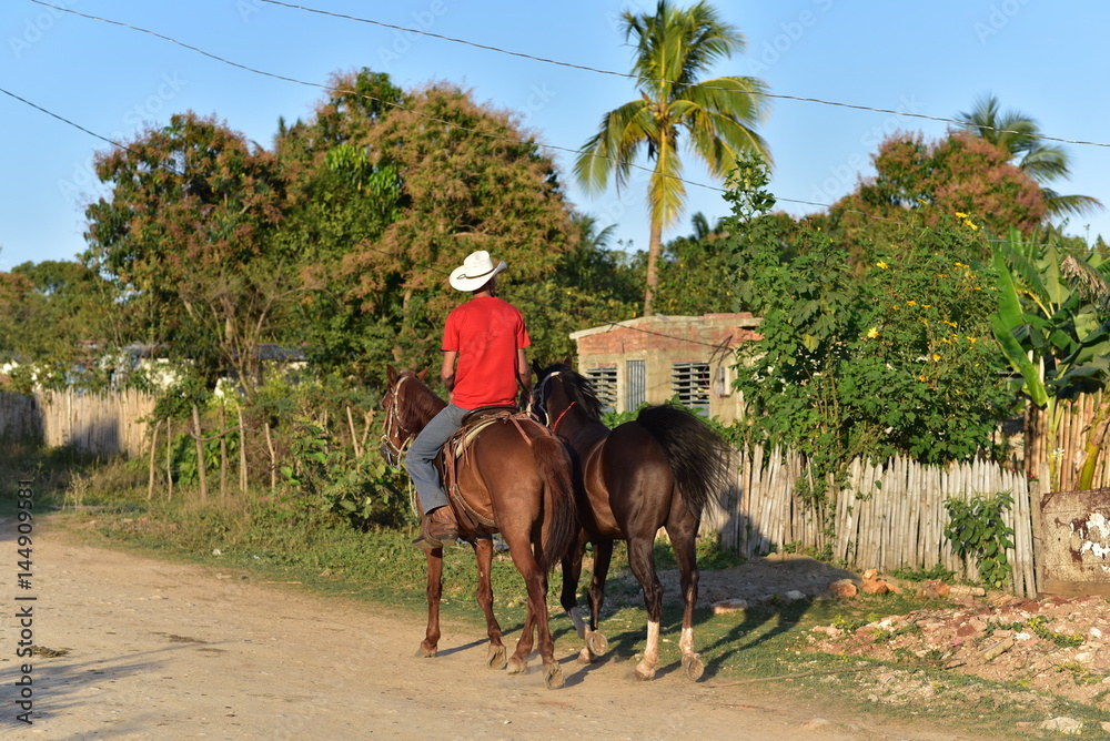 Trinidad Cuba; A Cuban guarjiro or cowboy taking his horse home after taking tourist on horseback tour Trinidad Cuba; A Cuban guarjiro or cowboy taking his horse home after taking tourist on horseback tour